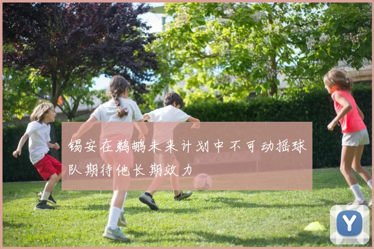 锡安在鹈鹕未来计划中不可动摇球队期待他长期效力